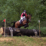 finja-bliesemann-bredeneek-2009