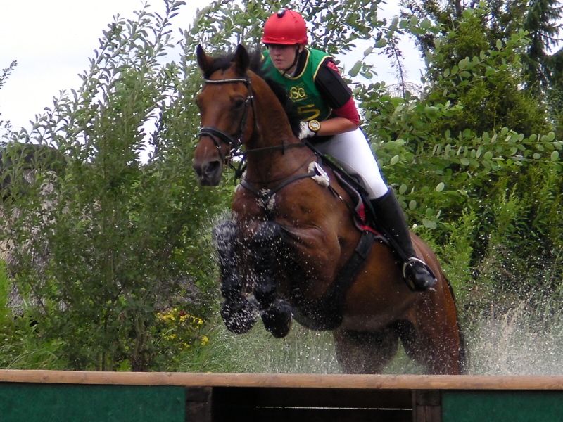 Finja und Ascari am 17.7.2011 in Groß Parin Finja und Ascari am 17.7.2011 in Groß Parin