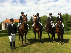 Abteilung Güldenstein 2012