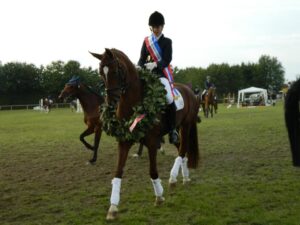 Maike Oelerich und "Suomi" sind Kreismeister 2012 in der Dressur LK 4 Maike Oelerich und "Suomi" sind Kreismeister 2012 in der Dressur LK 4