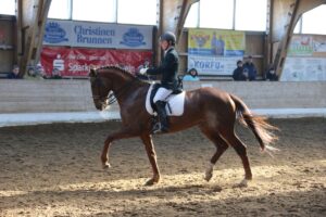 Hilke Schattner auf Gina-Lisa auf dem Weg zum Sieg in der Kandaren-L
