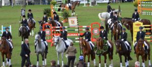 senioren-segeberg-2013-31 senioren-segeberg-2013-31