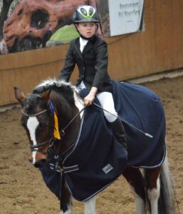 Die Sieger im E-Springen : Mathies Rüder mit Gido