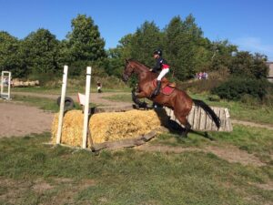 Mathies Rüder auf "Coin Toss" im Stil-Geländeritt Klasse A