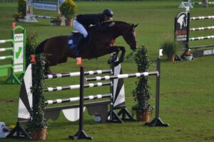 Sven Gero Hünicke und "Sunshine Brown" im Finalspringen über S* Foto: Svenja Widder